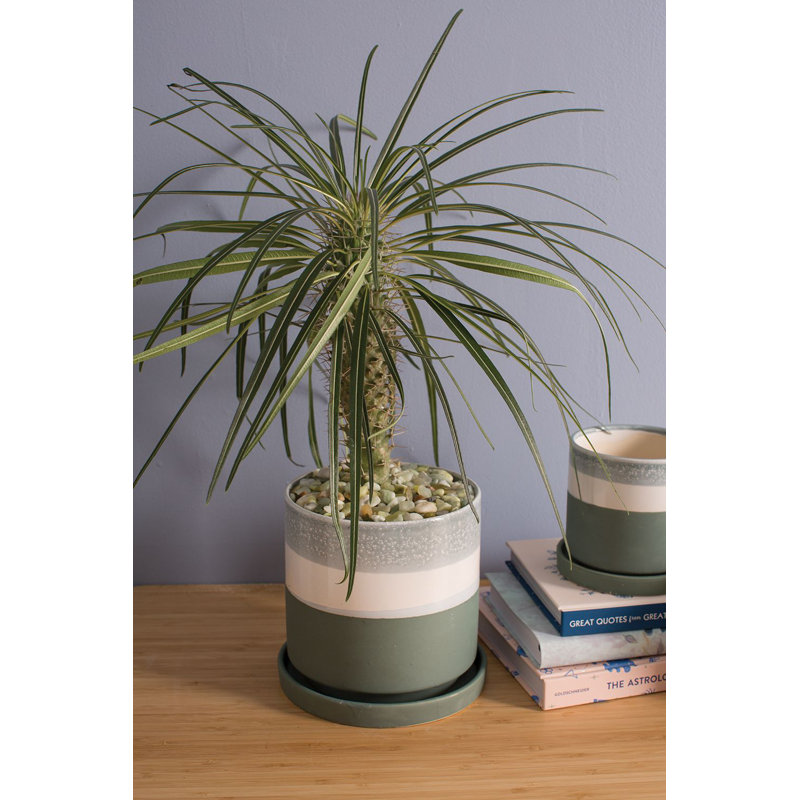 Harim Handmade Ceramic Pot Planter, 6.5" H x 7" W x 7" D