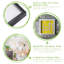 Nicola Spring - 3D Deep Box Photo Frame-79052564-79052565