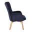 Drucker 68cm Wide Tufted Wingback Chair-1179919503