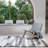 5x7ft Machine-Washable Rug Cashmere-Feel Faux Wool Rug with Non-Slip Backing and Durable Edging Abstract Pattern Rug Ideal for Living Rooms, Bedrooms, and Dining Areas-828373897