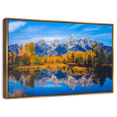 Feuillage doré Grand Teton