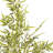 36 Inches Artificial Bamboo Tree In Nursery Pot