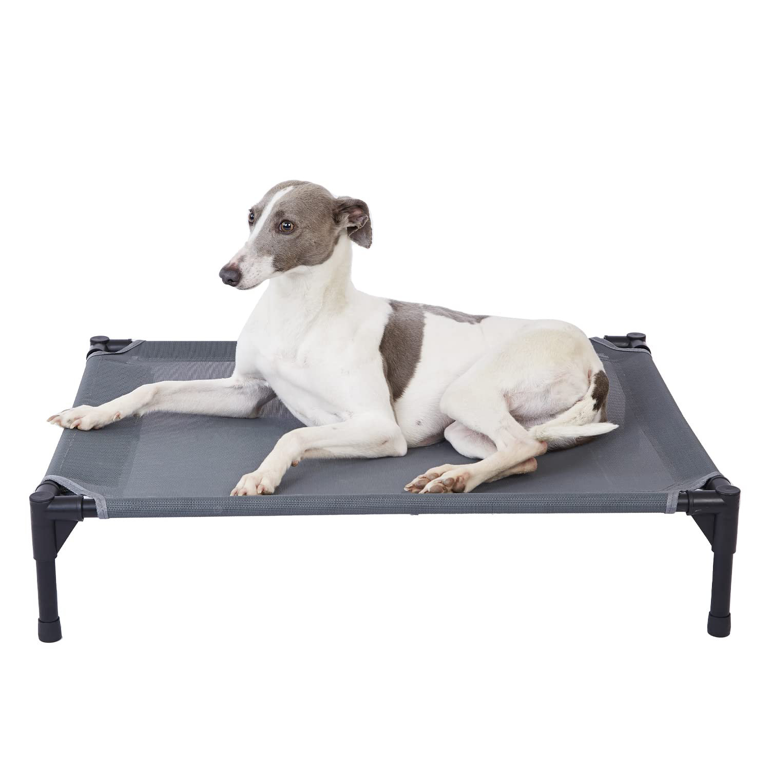 Latitude Run® Elevated Outdoor Dog Bed - Raised Cot For Large Dogs ...