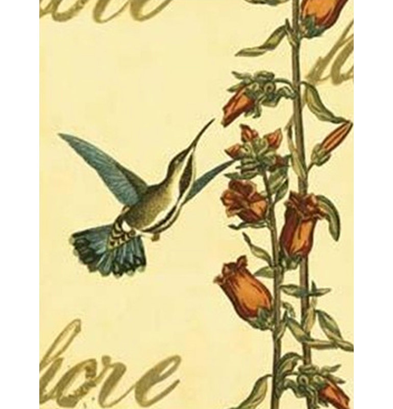Peaceful Hummingbird I