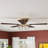 Rosenblatt 52'' Ceiling Fan with Light Kit-50118212-29587319