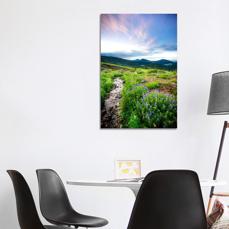 Crested Butte Stream by Dan Ballard - Wrapped Canvas Print, 101.6 cm H x 66.04 cm W x 1.91 cm D