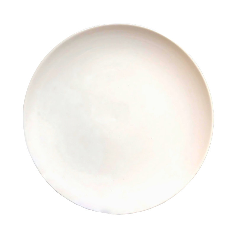 Canvas Home Shell Bisque Porcelain Dinner Plate, White