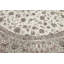 Oriental Area Rug