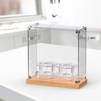 Thompsons Plastic Decorative Box