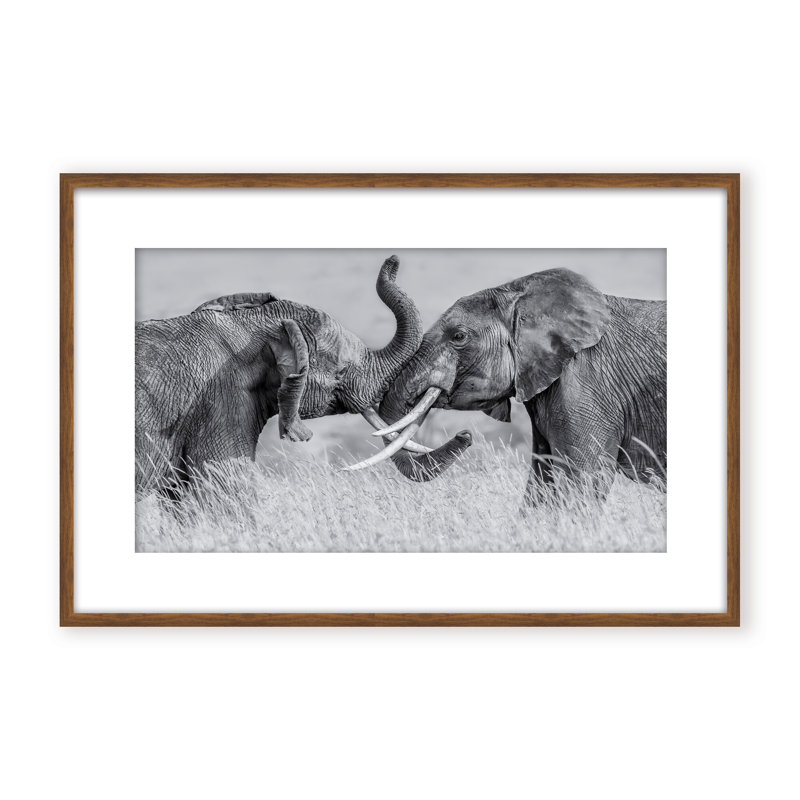 Nature Inspired Elephant Tai Chi by  - Picture Frame Photograph on Paper, Framed Canvas, 16" H x 24" W x 2.375" D, White
