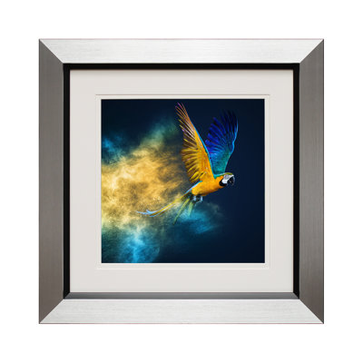 Dramatic Parrots I - Single Picture Frame Print