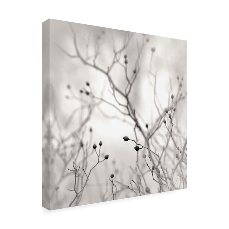 Baies d'hiver sur toile, H 14 po x l 14 po x P 2 po
