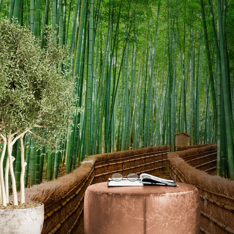 Murale forêt de bambou Mancelona Arashiyama, H 108 po x l 96 po