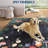 Jungle Animal Print Rug 6x9 Large Washable Area Rugs for Kids Nursery Vintage Non Slip Foldable Bedroom Carpet Farmhouse Low Pile Soft Accent Mat for Dining Room Black-645906188-645906192