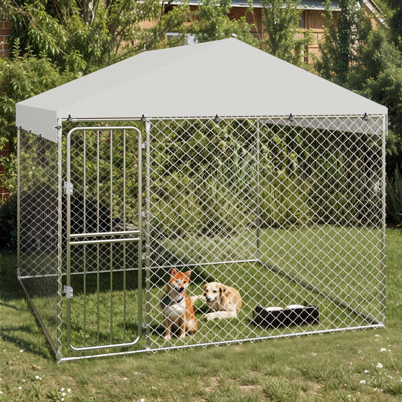 Cage pour chien robuste pour l'extérieur avec cage grise