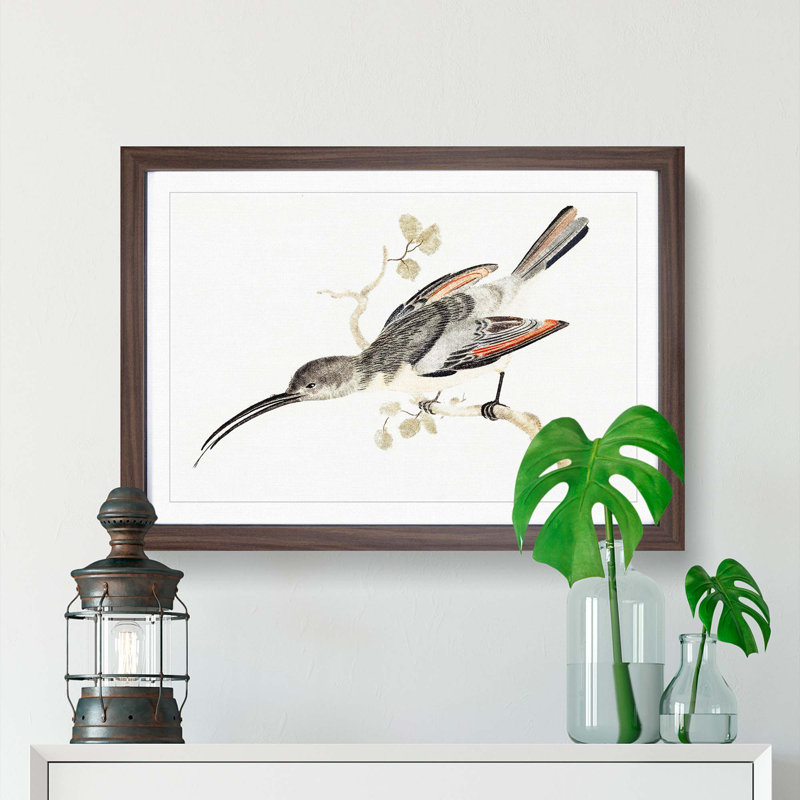 Hummingbird by Johan Teyler - Framed Print, 36cm H x 48cm W x 2cm D, Walnut Framed
