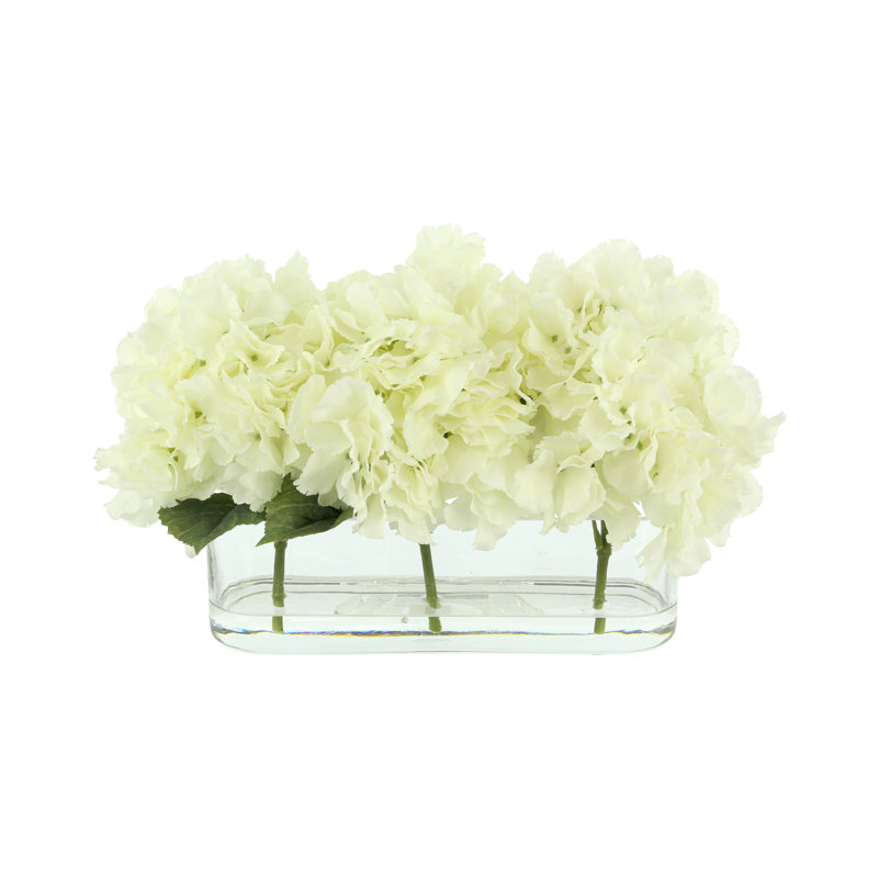 Hortensias disposés dans un vase en verre transparent, Crème