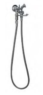 Wall Mounted Hand Spray with Hose