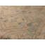 Wool Oriental Area Rug in Tan/Ivory