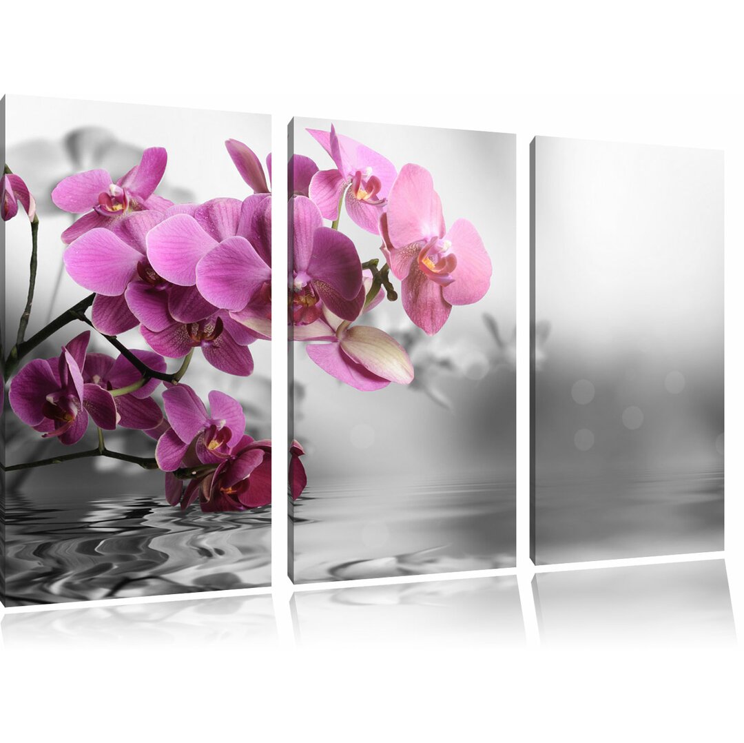 3-tlg. Leinwandbilder-Set „Orchideenblüten über Wasser", Fotodruck