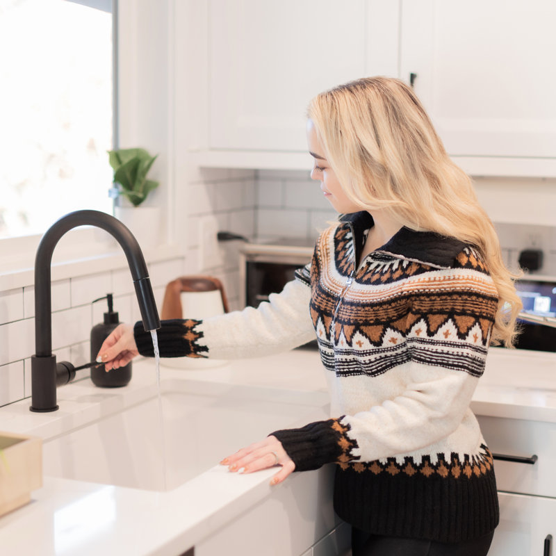 ZLINE Gemini Kitchen Faucet, Matte Black