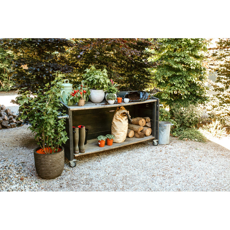 Pot Planter, 41cm H x 43cm W x 41cm D, Green