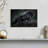 Brampt Prancing Black Horse-107844894