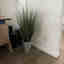 Photos des clients 1 de 2