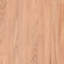 Solid Wood Table Top-1095531781-1095531776