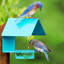 Mangeoire d’oiseaux à plateau diederike-1350035942