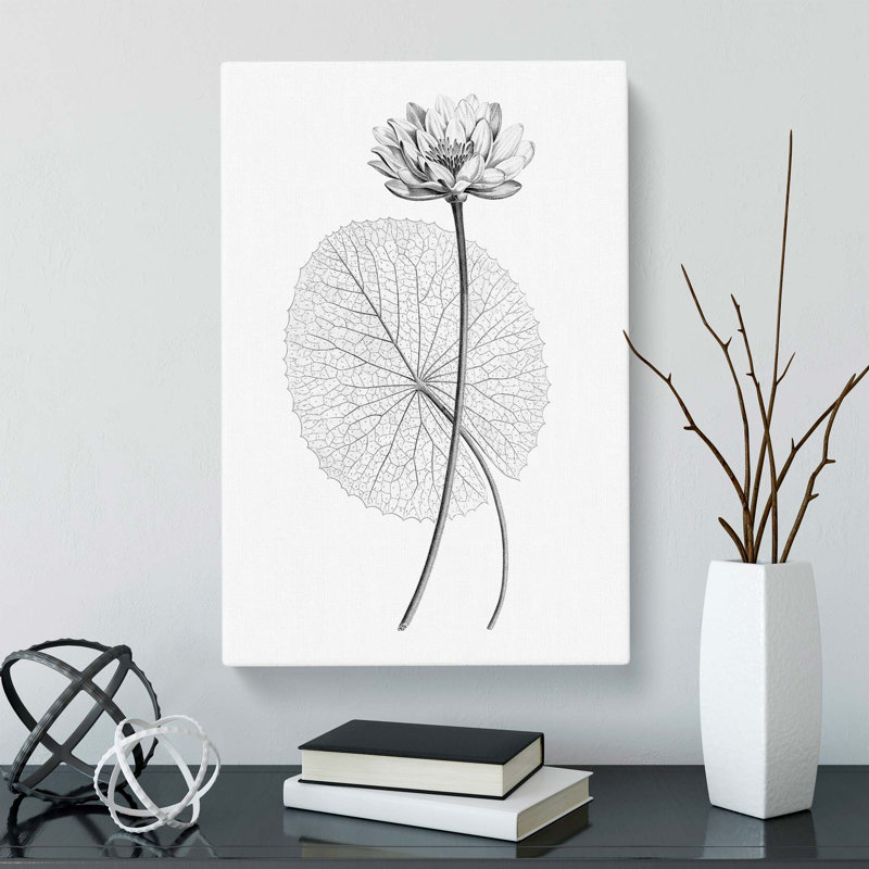 White Egyptian Lotus - Wrapped Canvas Print, 50cm H x 35cm W x 3cm D
