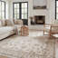 Tapis oriental ivoire / gris Atherine-96566786