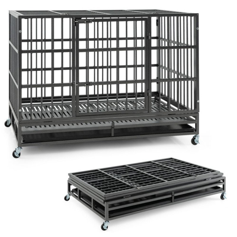 Cage à chien pliable en métal robuste avec roulettes verrouillables et plateau, H 35 po x l 48 po x P 30 po