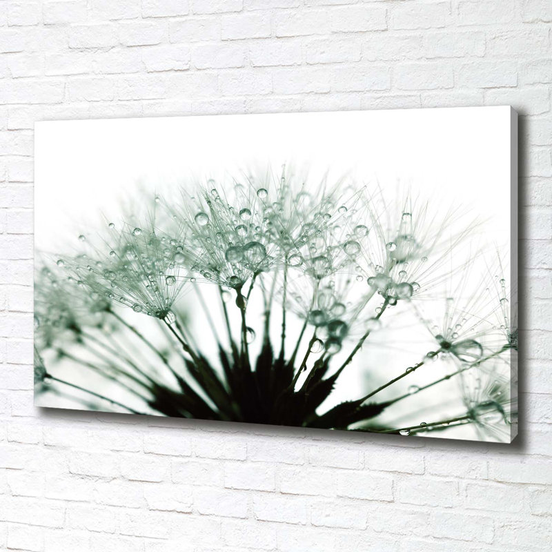 Dandelion Seeds - Wrapped Canvas Print