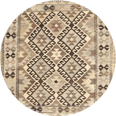 Southwestern Indoor Rug