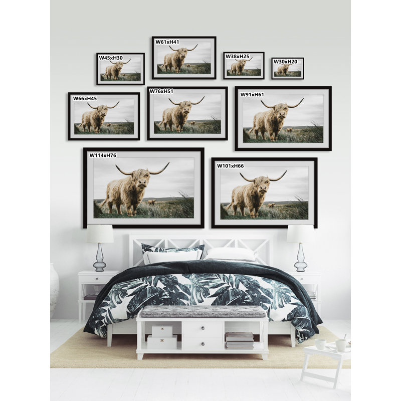 Roaming Cattle - Print, 61cm H x 61cm W x 3.81cm D, Black Framed Paper
