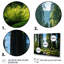 «Redwood Giants Tree Forest II», reproduction d'art sur toile-1627774330-1660326233