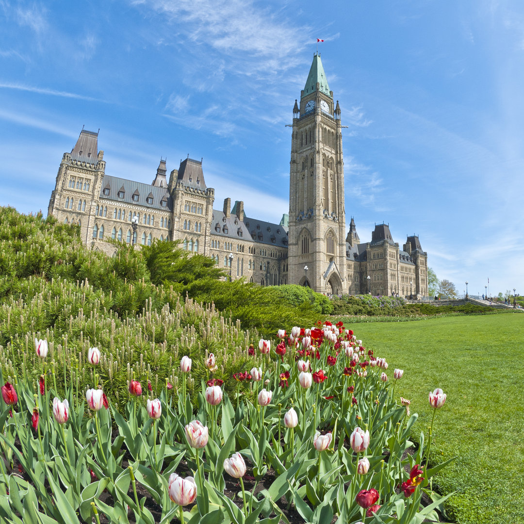 Nika Parliament Hill, Ottawa - Druck