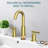 Brass Widespread 2 Handle Bathroom Sink Faucet 8 inch Vanity Faucet with Drain-89723649