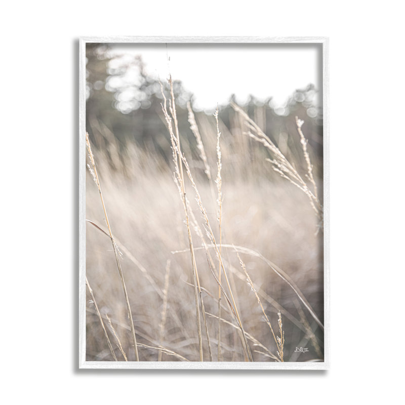 Picture Frame Photograph on MDF, 24" W x 30" H, Coastal White Framed Giclee