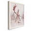 Cerf Michelson-88381531-88381532