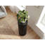 Black Acacia Wood Round Pedestal Plant Stand