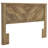 Aleshire Full Queen Headboard-1546487425