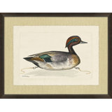 Woodland Decoy 4 Painting
