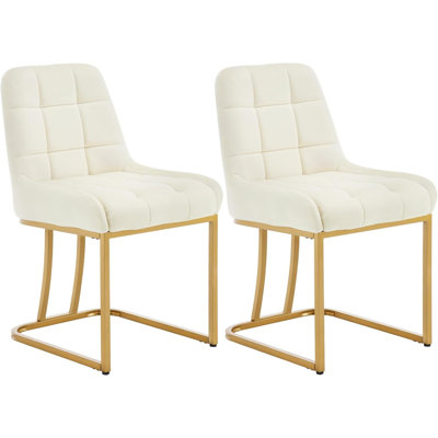 Aunna 49 cm H Velvet Cantilever Chair