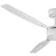 Bee 60'' 3 Blade Ceiling Fan