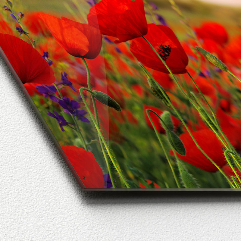 No Frame Painting, 50 cm H x 125 cm W x 1.4cm D