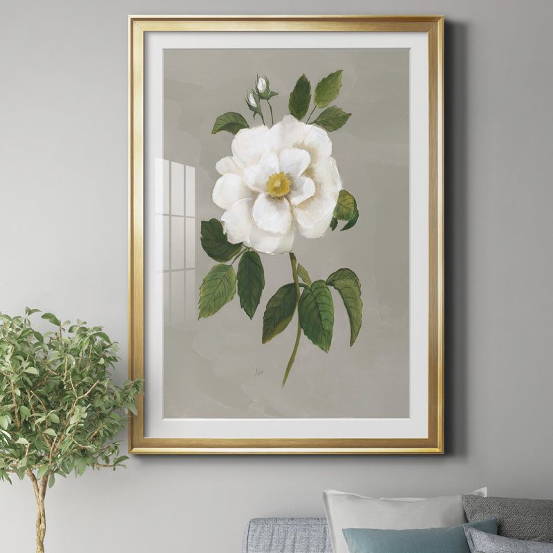 Botanical Garden Rose - Reproduction d'art sur papier encadrée, Doré, H 26,5 po x l 36,5 po x P 1,5 po