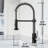 Edison 19" H 1-handle Pull-Down 2-Function Sprayer Kitchen Faucet-25293738-28294597
