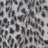 Amreece Animal Print Ivory Charcoal Indoor Outdoor Rug-1825718532